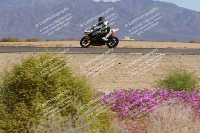 media/Mar-12-2023-SoCal Trackdays (Sun) [[d4c8249724]]/Turn 15 Inside Bloom (130pm)/